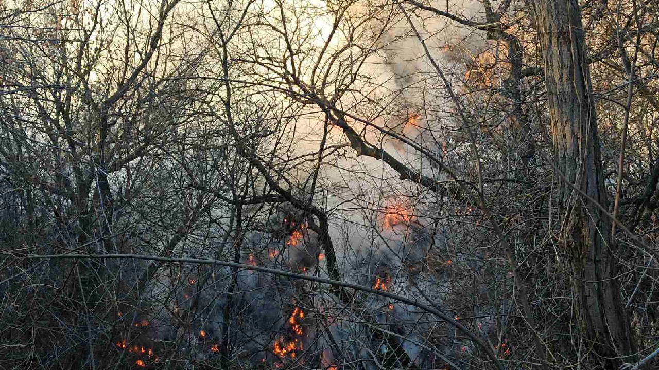 Пожежа на міському сміттєзвалищі